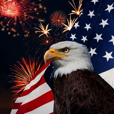 Fireworks and american flag royalty free vector image. American flag. Fireworks. Bald Eagle. | Eagle bird, Bald eagle, Eagle