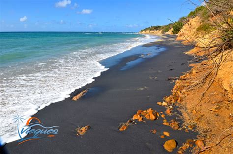 Playa Negra Negrita Black Sand Beach Vieques Puerto Rico Vieques