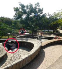 Check spelling or type a new query. Garden of Five Senses - Delhi dil se