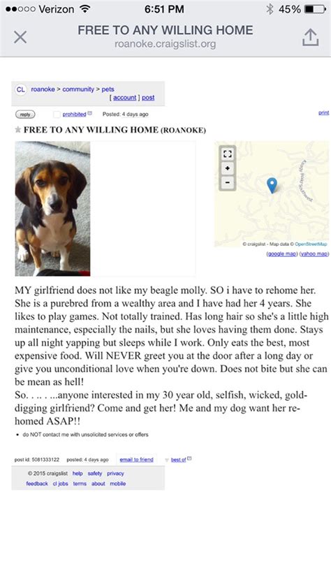 Browny, was once raised by human n them abandoned on roads, he is young, hardly one year. Man Posts About Dog and Girlfriend On Craigslist