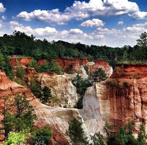 The little grand canyon was the 4th place that i hiked. Providence Canyon, Lumpkin, GA | hiking trails | Pinterest