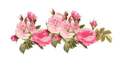 Clipart Of The Vintage Roses Free Image Download