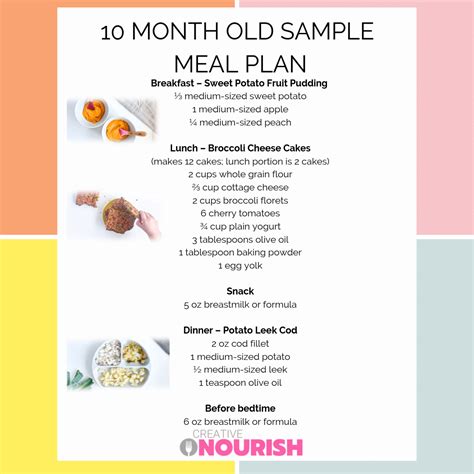 5 fruit puree combinations for 6 months to 18 months old babies | homemade baby food recipes stage 2. 10 Month Old Meal Plan - Nutritionist Approved | Meal ...