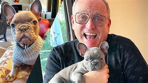 Sportjournalist wilfred genee stelt kritische vraag aan sylvana simons. Wilfred Genee en team bezorgd over hondje Gordon: 'Dubai ...