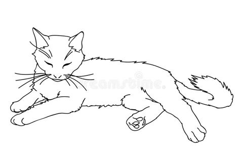 Laying Cat Drawing How To Draw A Cat Exchrisnge