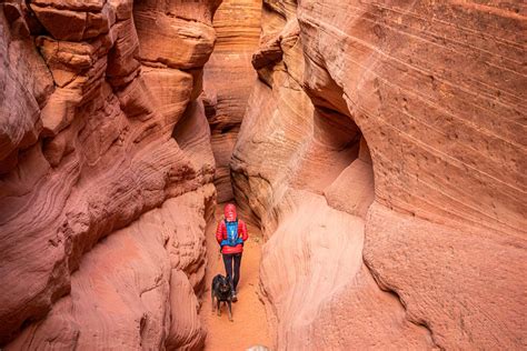Red Canyon Slot Peekaboo Canyon Hiking Guide Back O Beyond