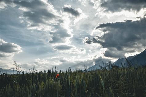 Download Cloud Background Grass Field Wallpaper