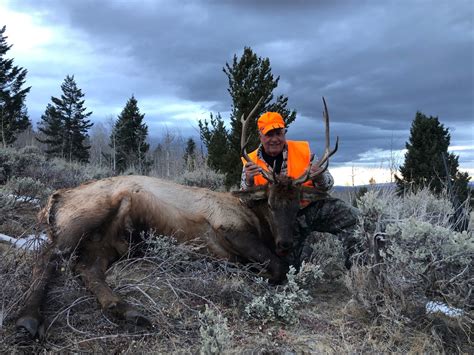 Colorado Elk Hunting Outfitters Private Ranch Colorado Elk Hunts