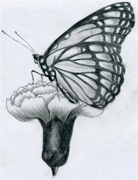 How to draw two people hugging : Image result for realistic drawing butterfly | Flower ...