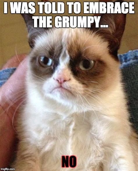 Grumpy Cat Meme Imgflip