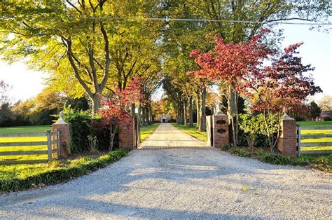 Well it turns out that shauna's cousin is a heavy equipment owner/operator and has the ability to move them. The 25+ best Tree lined driveway ideas on Pinterest | Long ...