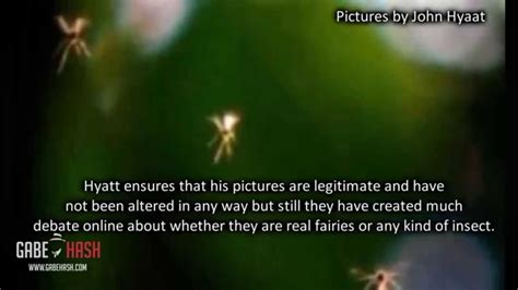 fairies caught on camera in england september 2 2014 possible explanation youtube