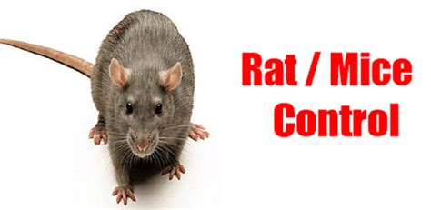 Pest control the game 2016. Rat Repellent Sound Mp3 Free Download - Pest Control Diagram