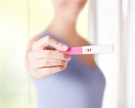 7 Mitos Falsos Sobre La Fertilidad Biotexcom Center For Human