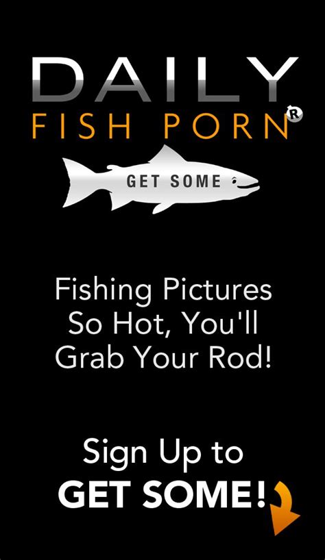 Daily Fish Porn Index Wa
