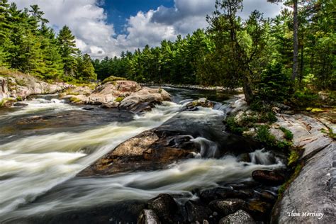 Consolidated id card office online Five Finger Rapids - Amazing Places