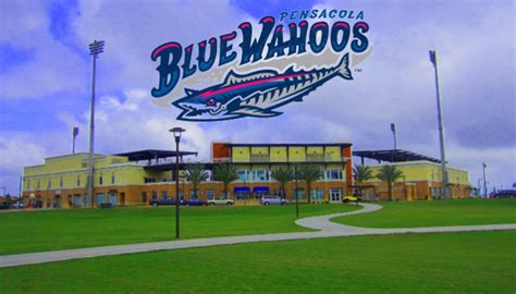 Pensacola Blue Wahoos Baseball