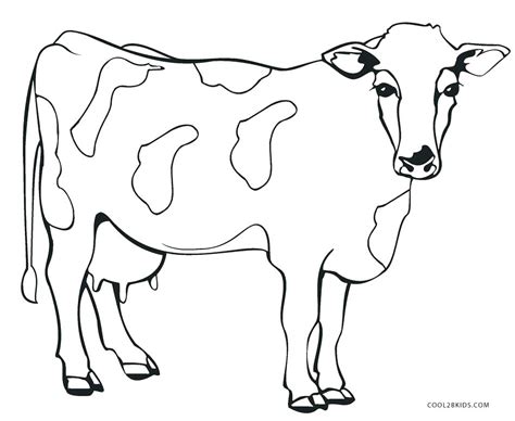 Cow Coloring Pages For Adults At Free Printable