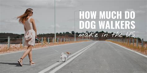 How Much Do Wag Dog Walkers Get Paid