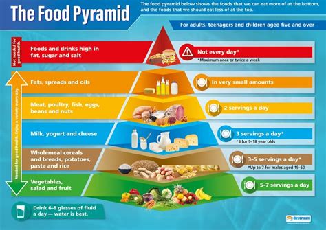 This keto food pyramid represents the general consensus of what we should eat on the ketogenic diet. Primary - Food Pyramid | Science Posters | Gloss Paper ...
