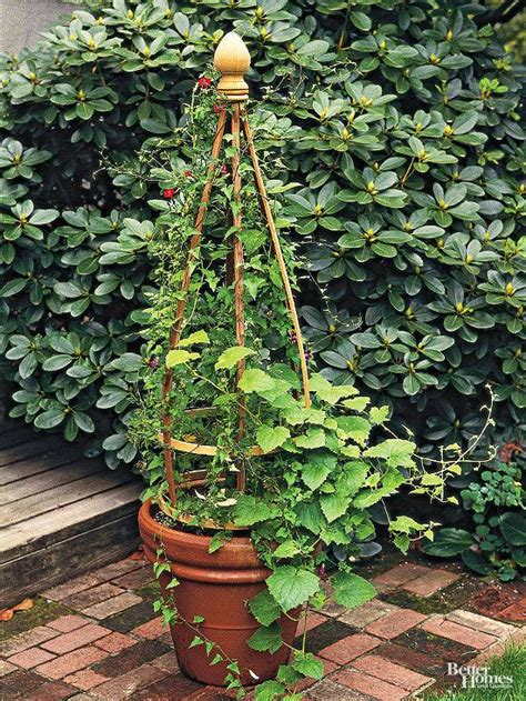 Build A Container Trellis For Your Climbing Plants Flower Pot Trellis