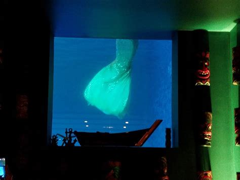 Make Waves and Shake Your Fins at B Ocean Resort's ...