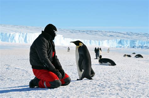 20 New Fun Facts About Antarctica For Kids News
