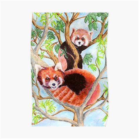 Red Pandas Poster For Sale By 3willows Redbubble