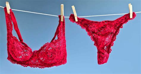 Diese Valentinstag Dessous sind 2022 im Trend! - WE GO WILD Weitere ideen zu coole sprüche, lustige sprüche, weisheiten.