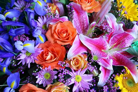 Colorful Beauty Colorful Lilies Mix Spring Roses Bouquet Macro