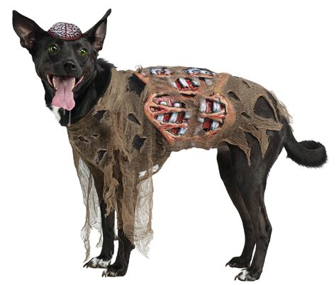 Maschera da scheletro per halloween. Costumi di Halloween per cani | Bigodino