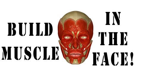 How To Strengthen Face And Jaw Muscles - YouTube