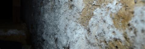 White Chalky Substance on Basement Walls - What is It? |New Haven, CT