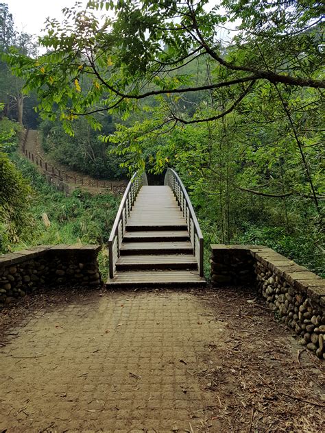 Free Images Landscape Tree Nature Forest Path