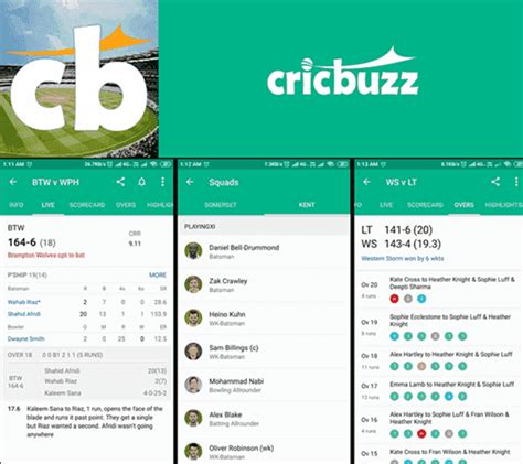Cartoon of cricket tool vector icon for web design isolated on white background. Live Cricket कैसे देखे Online FREE App Download
