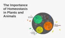Check spelling or type a new query. The Importance of Homeostasis in Plants and Animals by ...