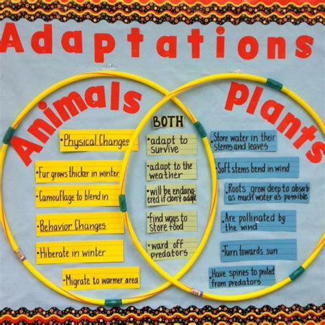 We did not find results for: Use a Venn Diagram to demonstrate animal and plant ...