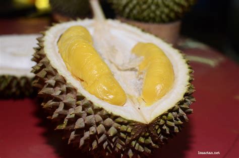 Black thorn durian is also known as d200. A Durian Feast of Musang King and Black Thorn Durians ...