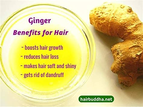 Update More Than 143 Ginger Benefits For Hair Best POPPY