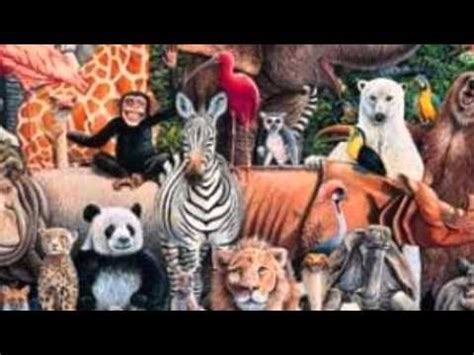 Vídeo 1-Diversidad de las Plantas y animales - YouTube