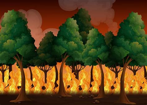 Es decir, en bosques, pastizales o praderas. Un bosque con desastre de incendios forestales - Descargar ...