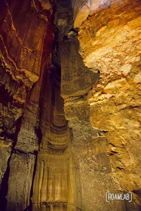 River Styx Tour Mammoth Cave National Park — Roam Lab