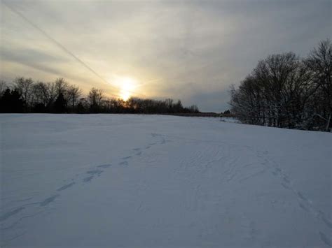 Maybe you would like to learn more about one of these? Shawnee Hills Wine Trail Cabin. Walking distance to Blue ...