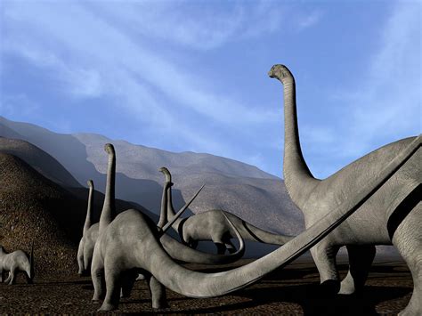 Sauropod Dinosaurs Photograph By Christian Darkin Pixels