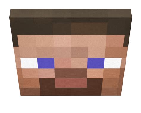 Minecraft Steve Photo