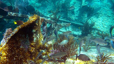 Biscayne National Park Diving And Snorkeling Bringing You America