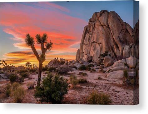 Crater Lake Mystique California National Parks Joshua Tree National