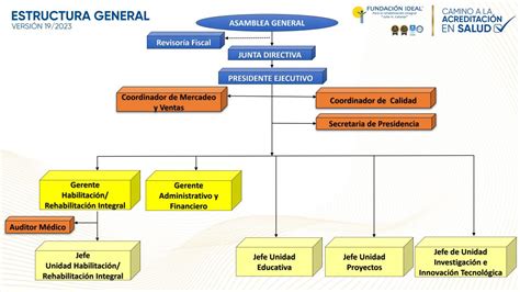 Organigramas Fundaci N Ideal The Best Porn Website