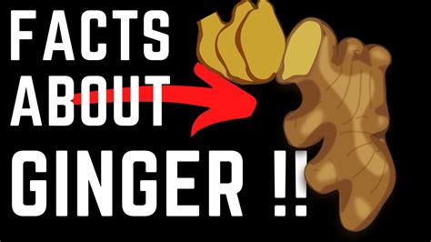 Healthy Benefits Of Ginger And Facts Youtube