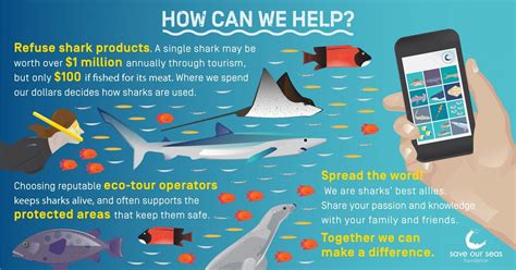 International Whale Shark Day 2020 Save Our Seas Foundation